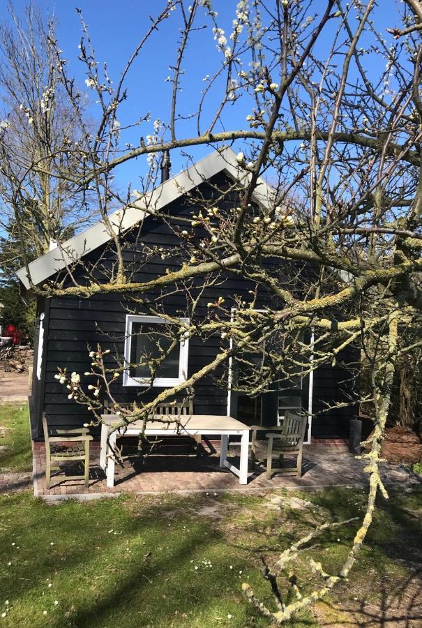 Ijsselmeer Lake Houses Андайк Екстериор снимка